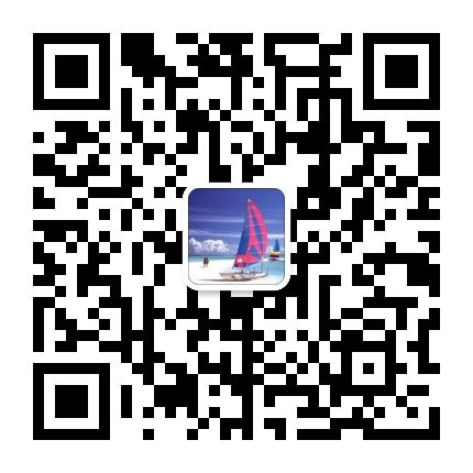 the qr code